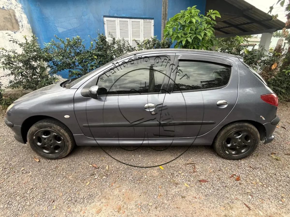 LOTE 047 - PEUGEOT/206 14 PRESENC, ano/modelo: 2004/2004, placa: DMG1I87