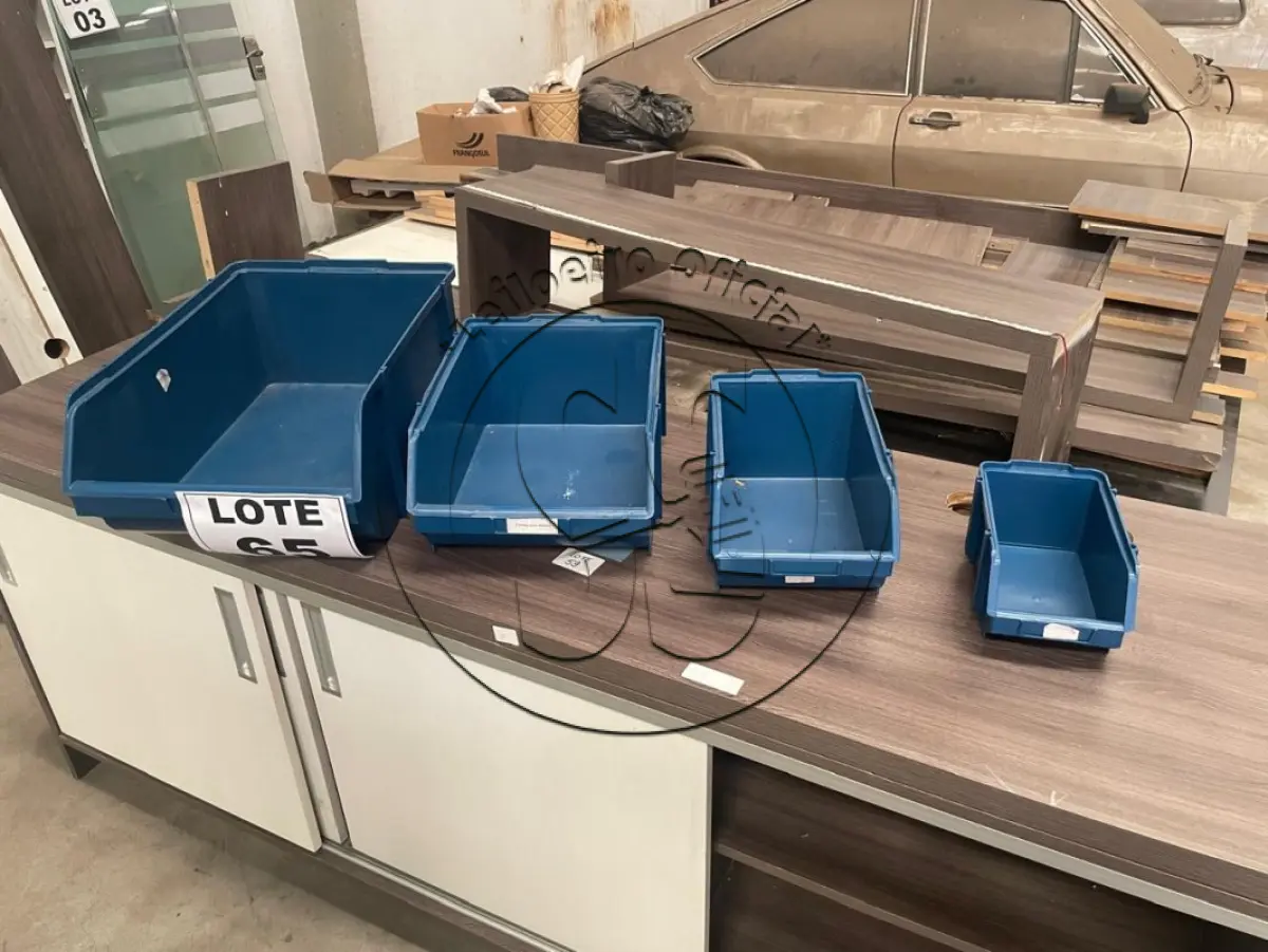 LOTE 065