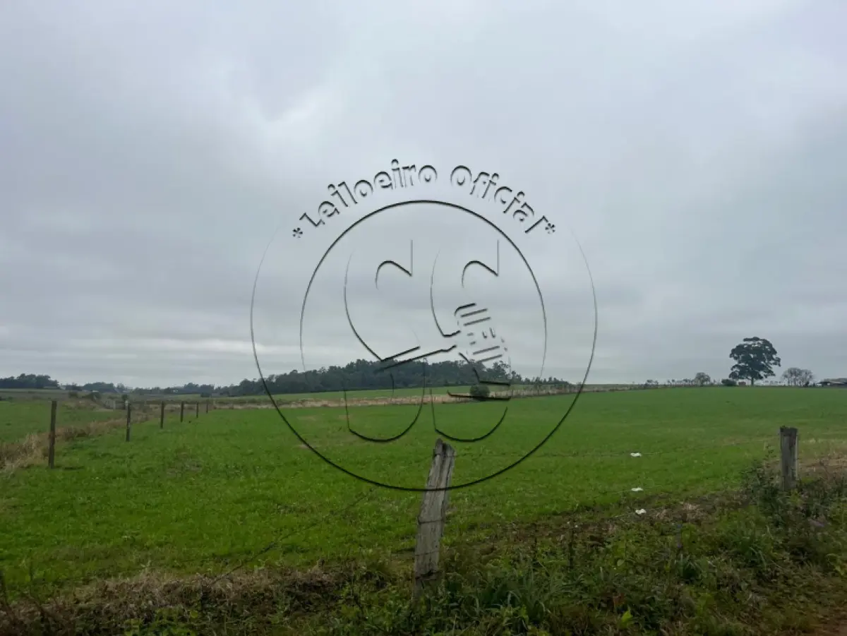 LOTE 028 - Uma fração de terras com 9,3 hectares, em Bexiga, Rio Pardo/RS