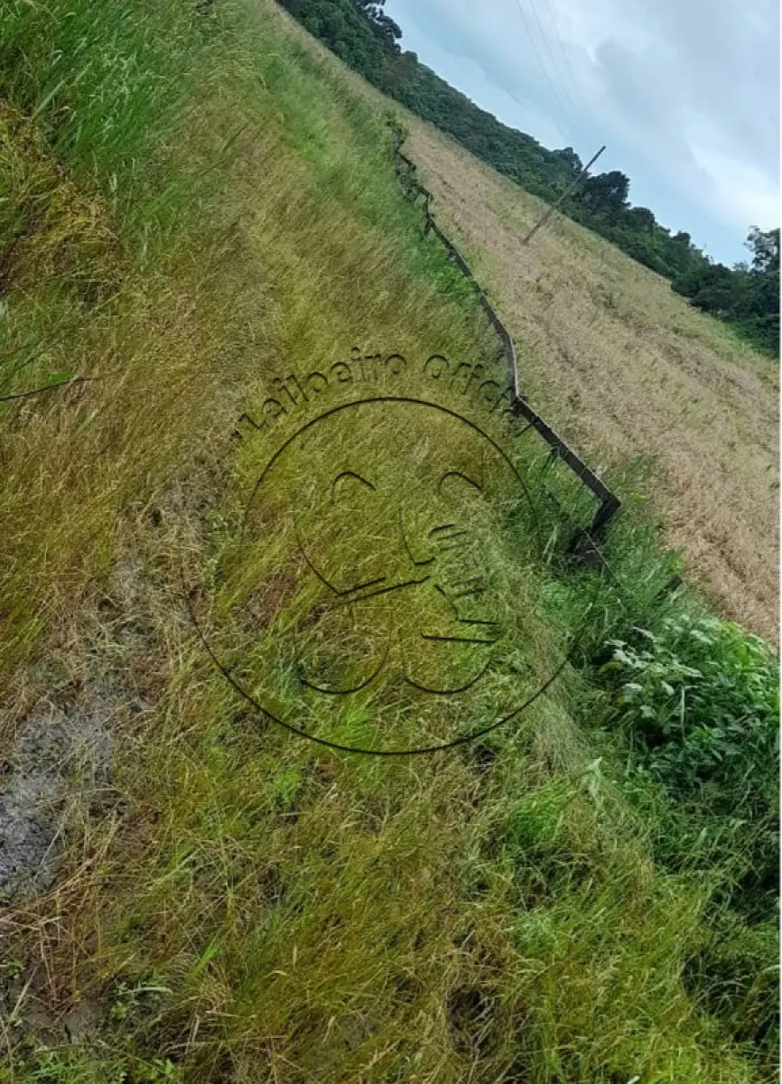 Gleba no Vila Serafim Schmidt (foto 10 de 11)