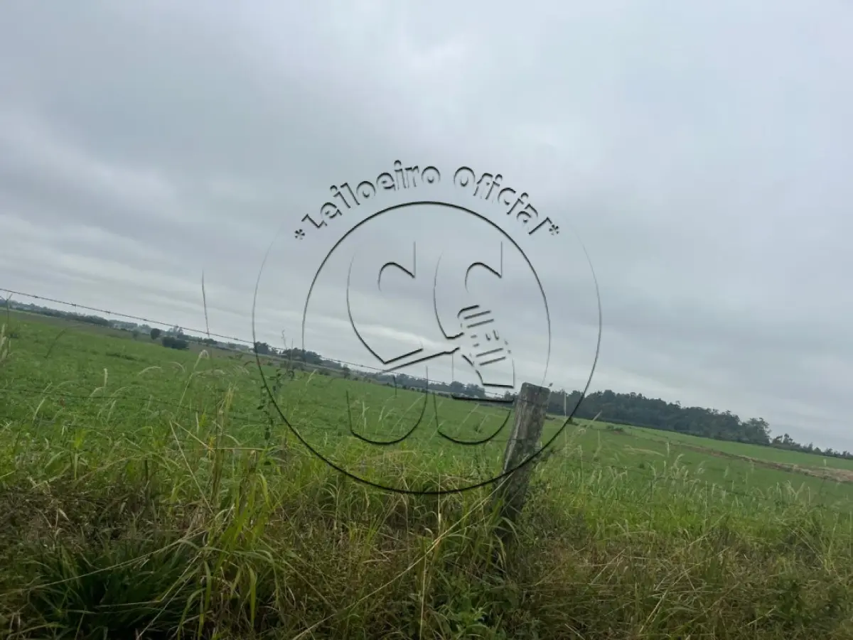 LOTE 028 - Uma fração de terras com 9,3 hectares, em Bexiga, Rio Pardo/RS