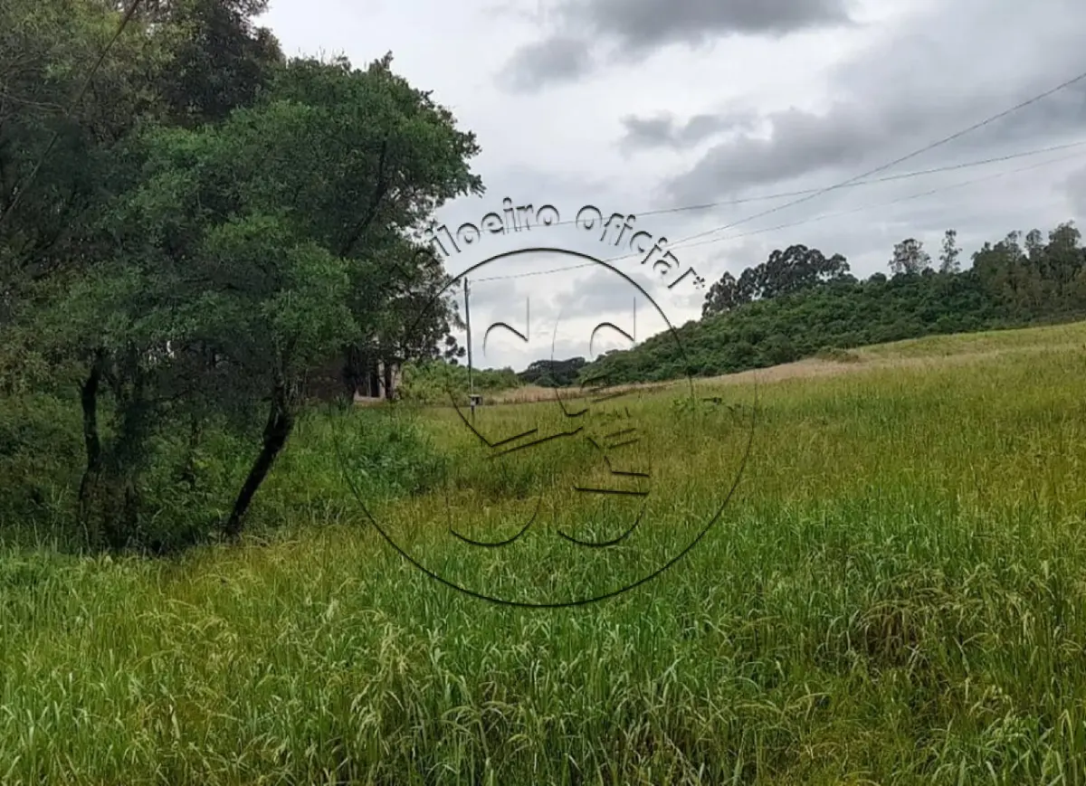 Gleba no Vila Serafim Schmidt (foto 3 de 11)