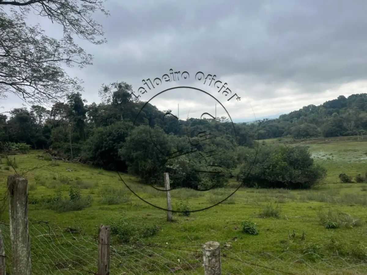 LOTE 028 - Uma fração de terras com 9,3 hectares, em Bexiga, Rio Pardo/RS