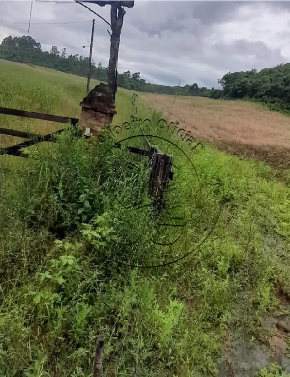 Gleba no Vila Serafim Schmidt (foto 7 de 11)