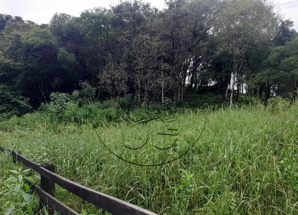 Gleba no Vila Serafim Schmidt (foto 6 de 11)