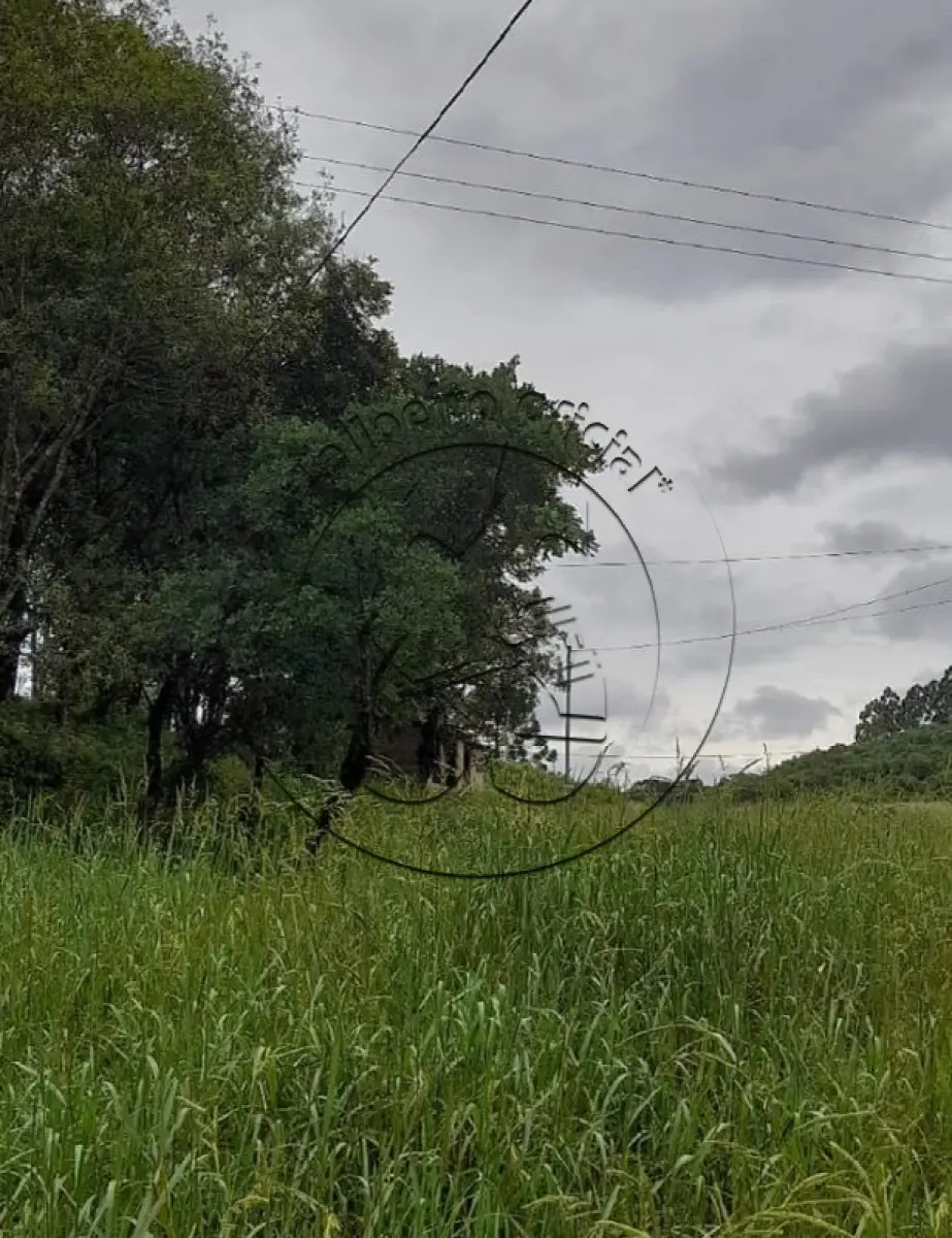 Gleba no Vila Serafim Schmidt (foto 8 de 11)