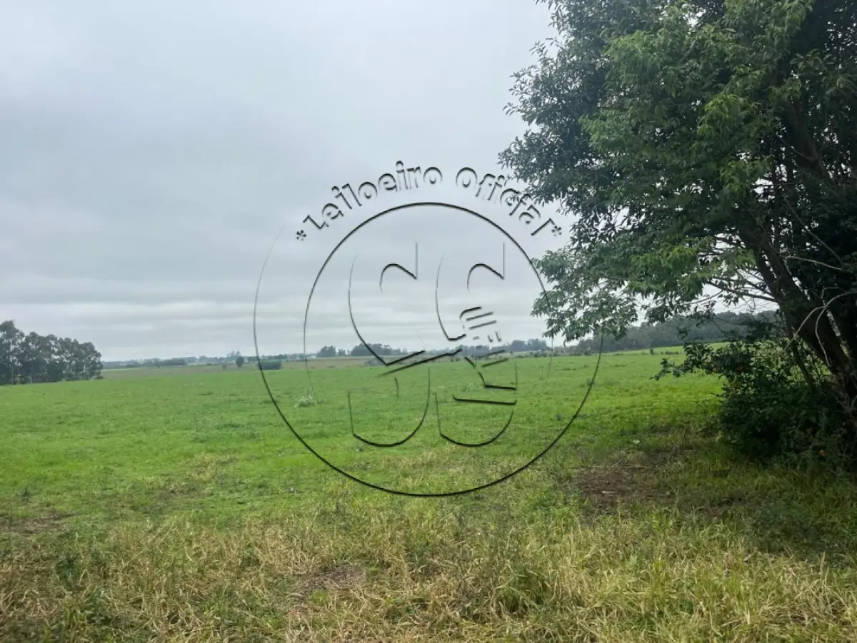 LOTE 028 - Uma fração de terras com 9,3 hectares, em Bexiga, Rio Pardo/RS