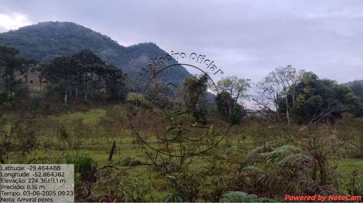 Gleba no Baixo Passa Sete (foto 2 de 5)