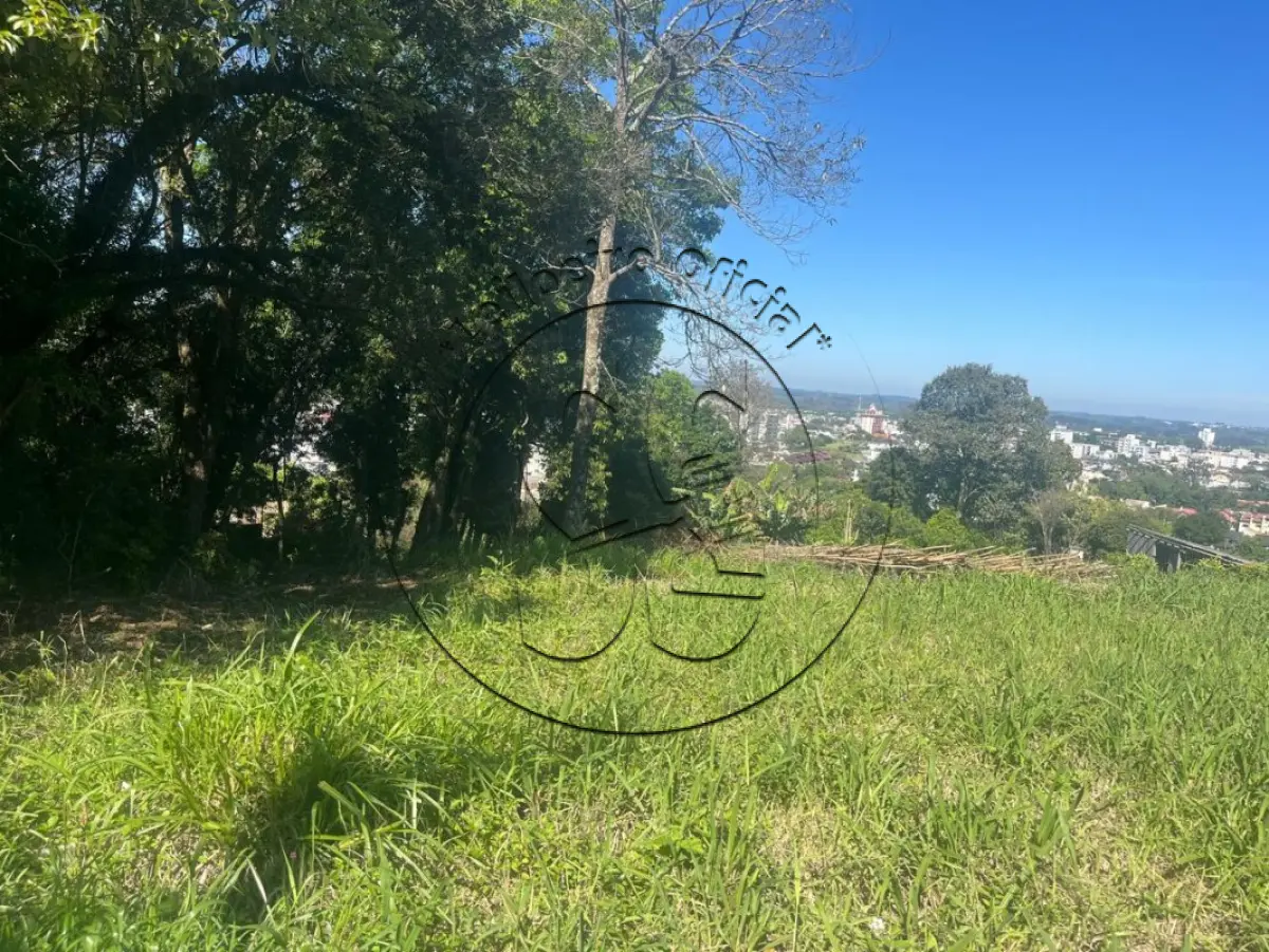 Terreno (foto 4 de 9)