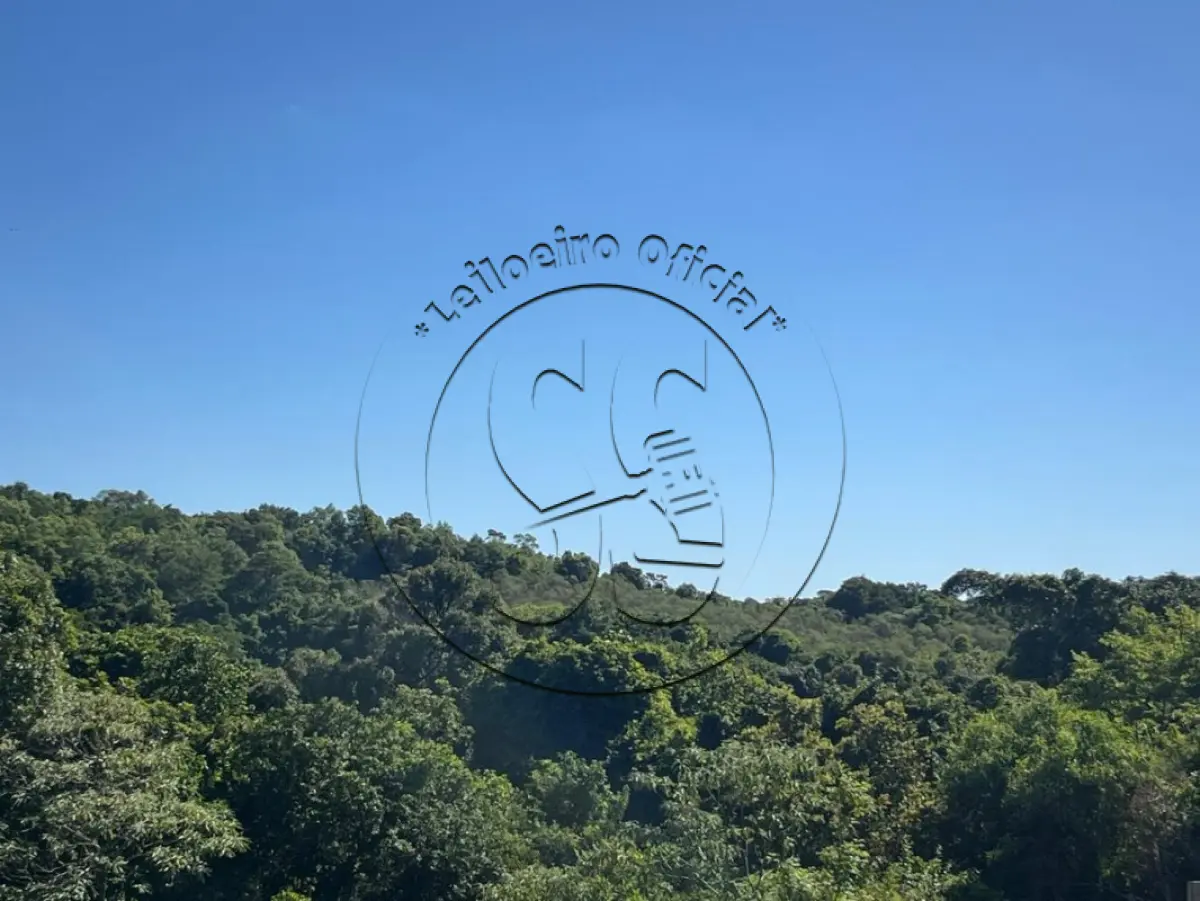 LOTE 019 - Uma fração ideal de terras, em LINHA NOVE COLÔNIAS e TRAVESSÃO DONA JOSEFA, distrito de Rio Pardinho