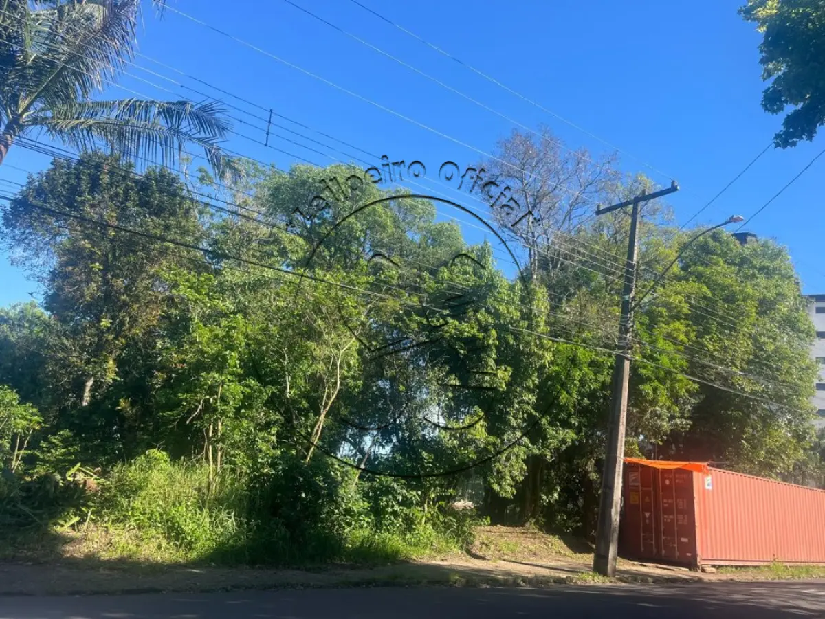 Terreno (foto 7 de 9)