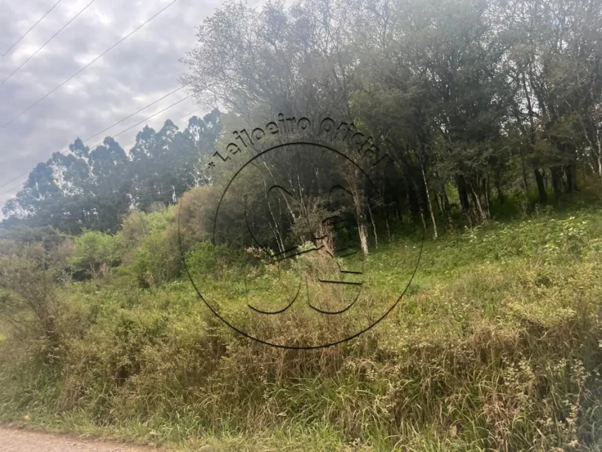 LOTE 016 - A nua propriedade de uma fração de terras com 55.000,m², em condomínio, lote nº 02, da linha Oito, no Município de Ibarama/RS