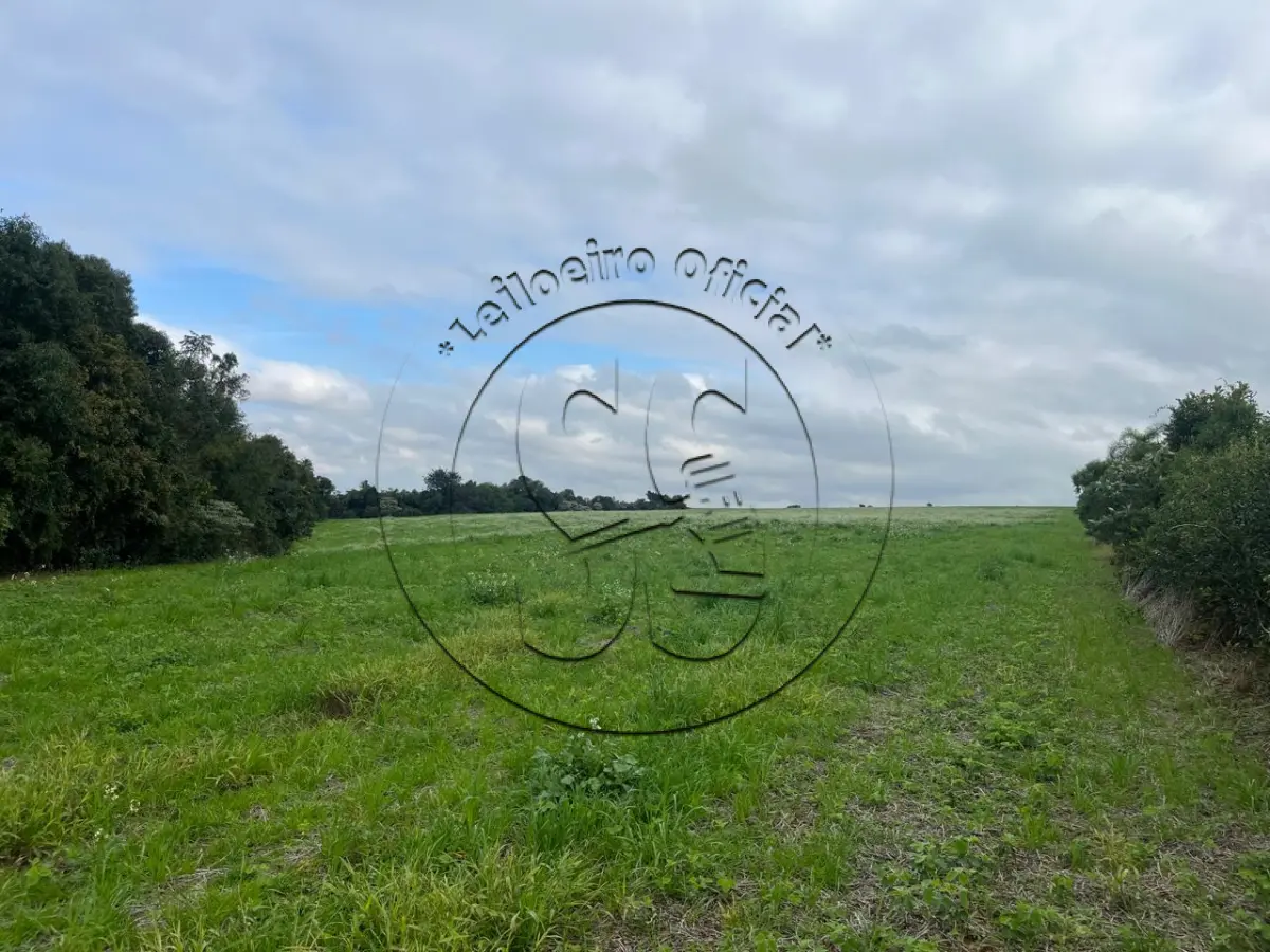 LOTE 005 - Fração de terras de agricultura, lugar denominado Bom Retiro, distrito de Botucaraí, Candelária/RS, com área de 105.310,59m², em condomínio
