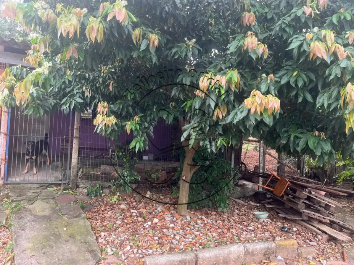 Terreno no Loteamento Residencial Popular Chácara Torrano (foto 4 de 6)
