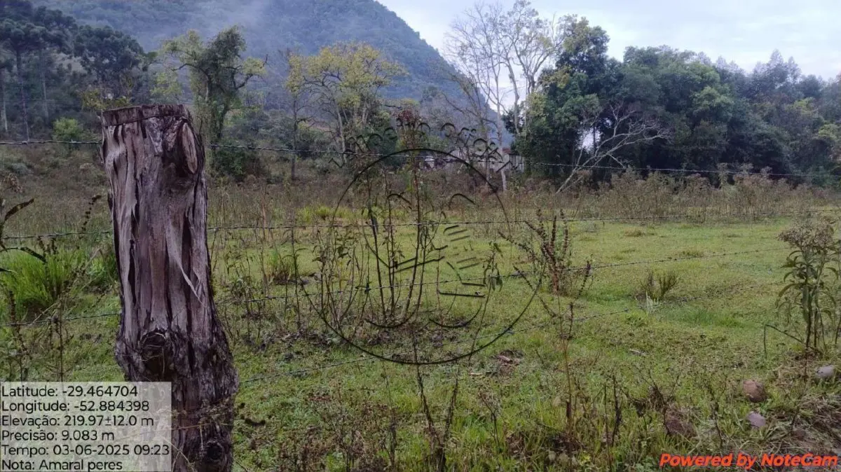 Gleba no Baixo Passa Sete (foto 5 de 5)