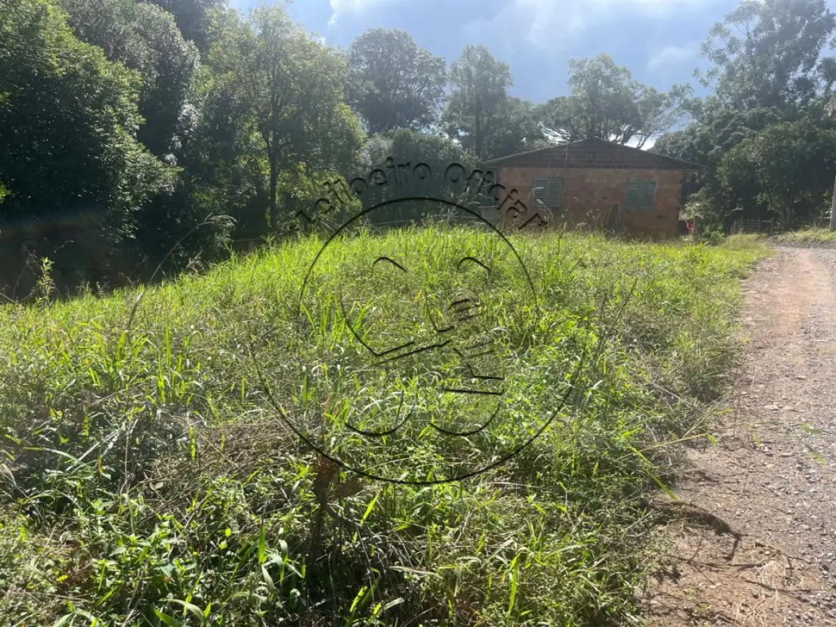Gleba no Linha Quinca (foto 7 de 10)