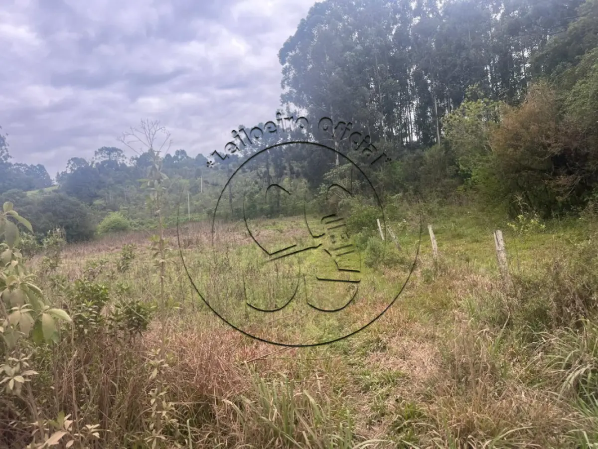 LOTE 016 - A nua propriedade de uma fração de terras com 55.000,m², em condomínio, lote nº 02, da linha Oito, no Município de Ibarama/RS