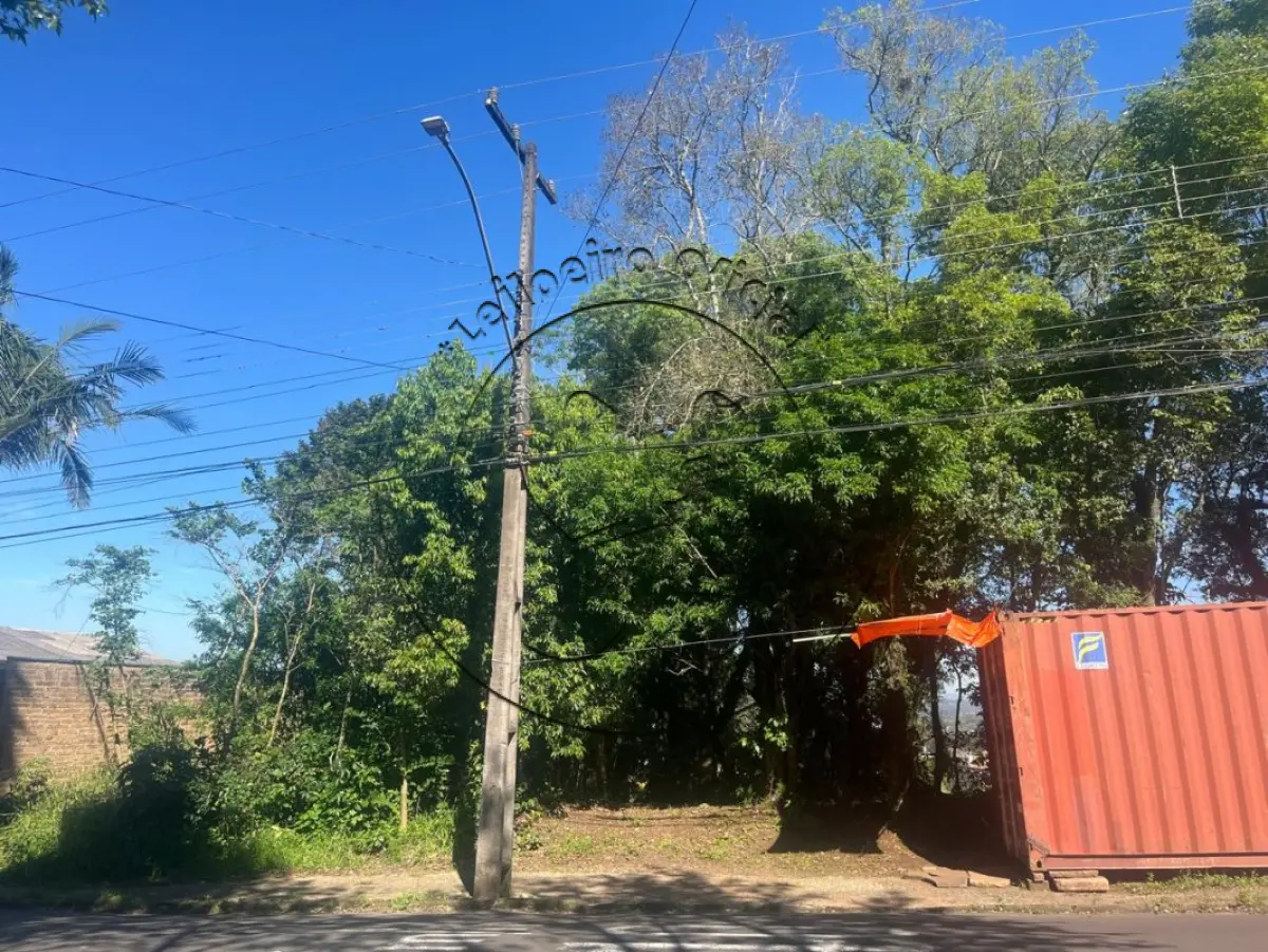 Terreno (foto 8 de 9)