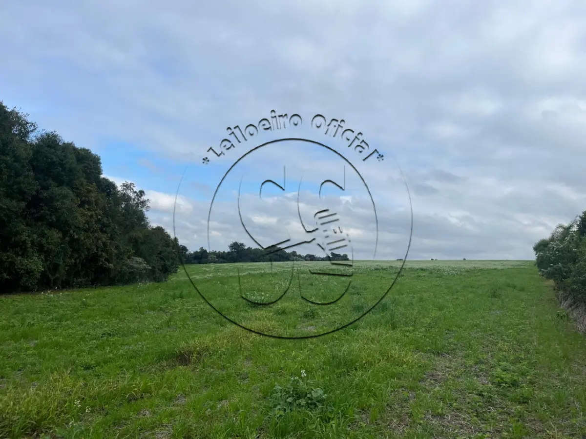 LOTE 005 - Fração de terras de agricultura, lugar denominado Bom Retiro, distrito de Botucaraí, Candelária/RS, com área de 105.310,59m², em condomínio