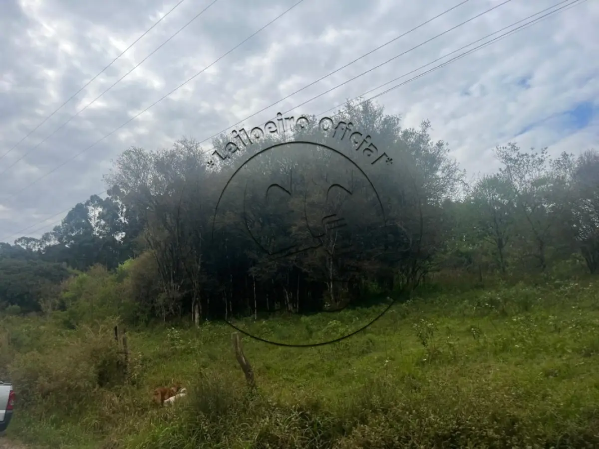 LOTE 016 - A nua propriedade de uma fração de terras com 55.000,m², em condomínio, lote nº 02, da linha Oito, no Município de Ibarama/RS
