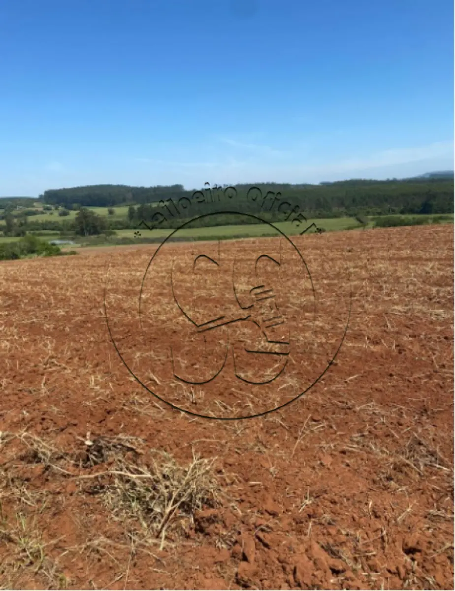 Foto de FRAÇÃO DE TERRAS COM 90.920M², EM GENERAL CÂMARA/RS, NO CAPÃO ALTO