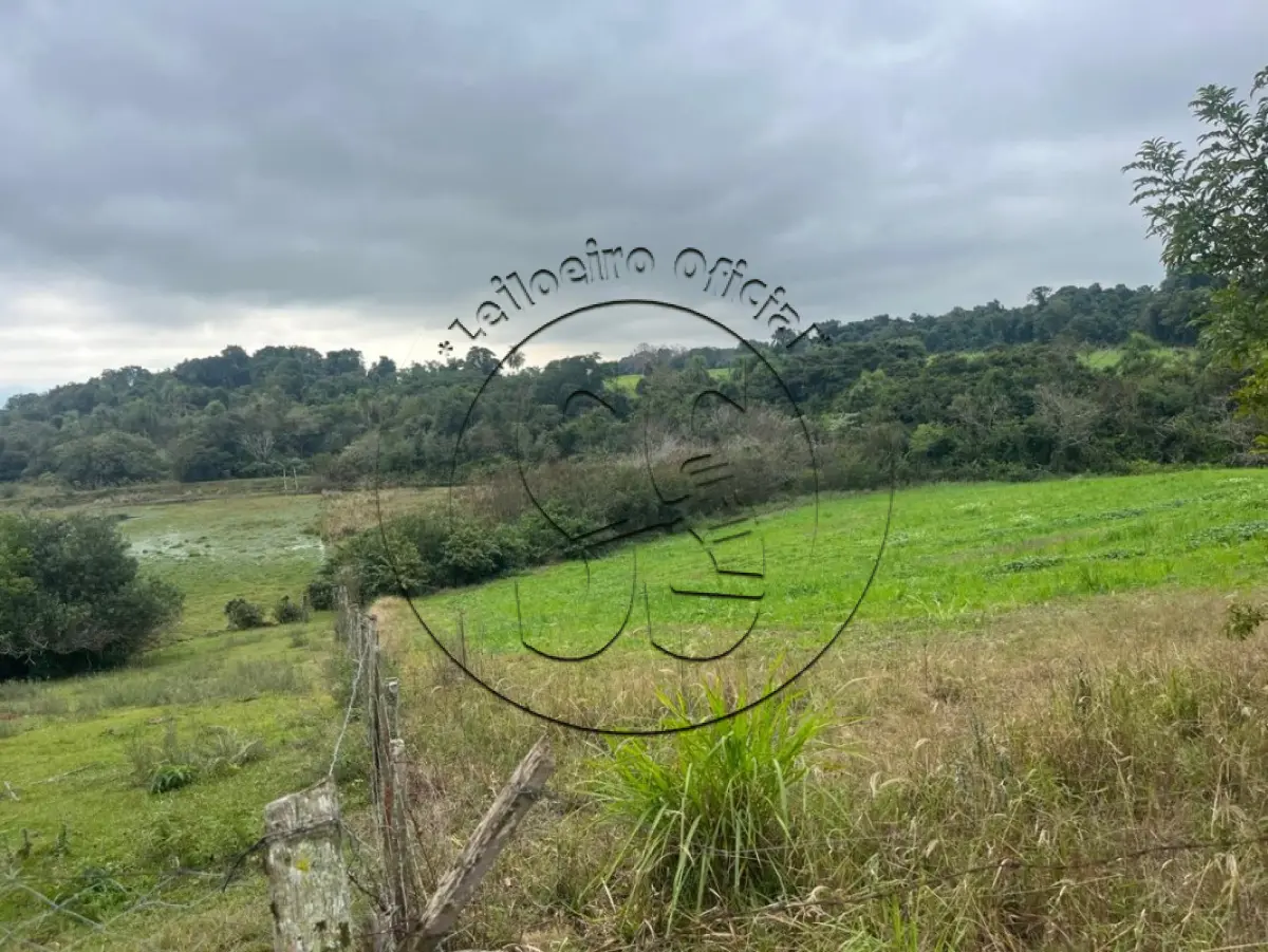 LOTE 008 - Fração de terras com 145.263,80m², e suas benfeitorias, situada no Distrito  Botucaraí, Candelária/RS, lugar denominado Campo de Cima e Campos de Baixo