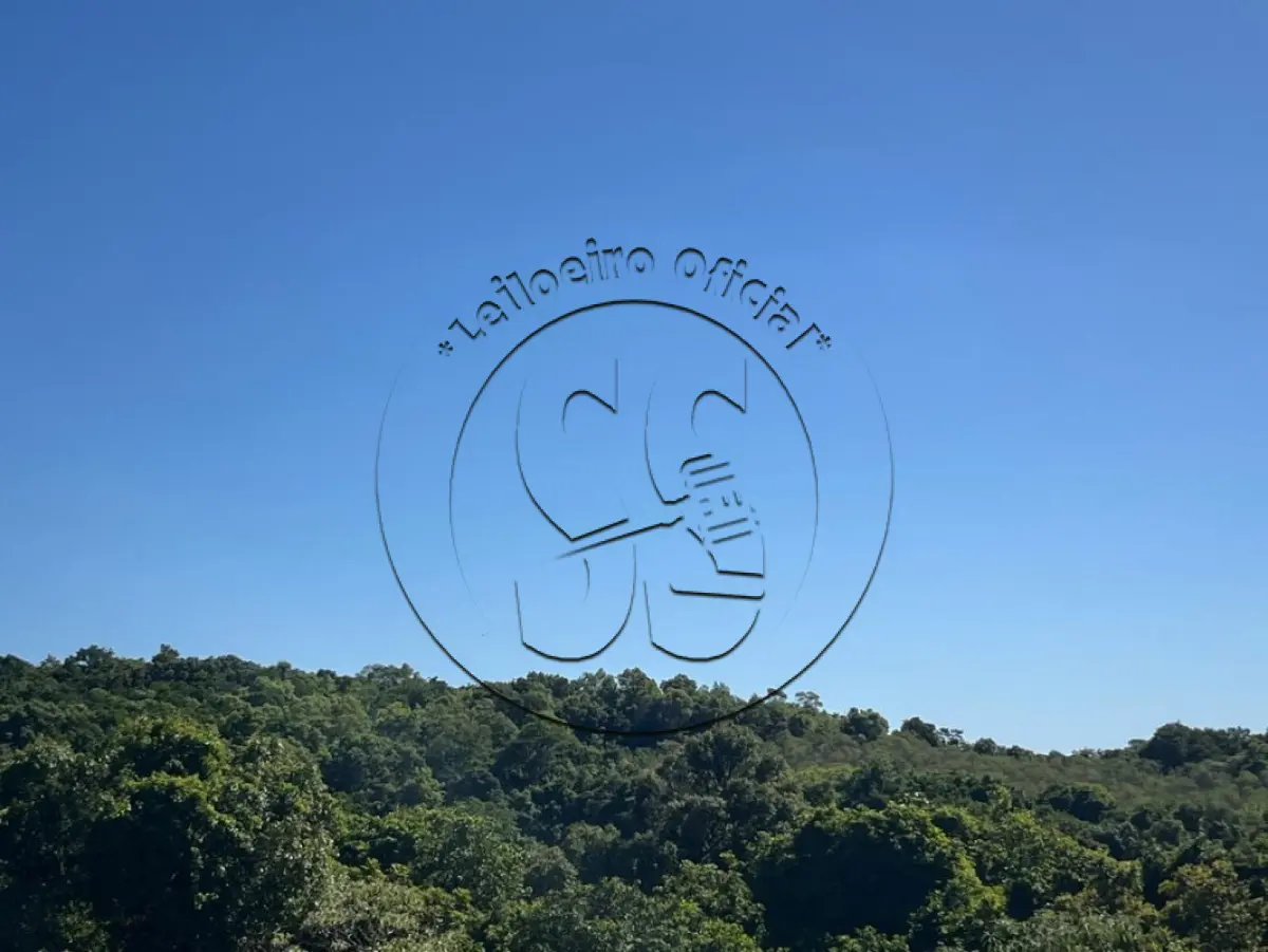 LOTE 019 - Uma fração ideal de terras, em LINHA NOVE COLÔNIAS e TRAVESSÃO DONA JOSEFA, distrito de Rio Pardinho
