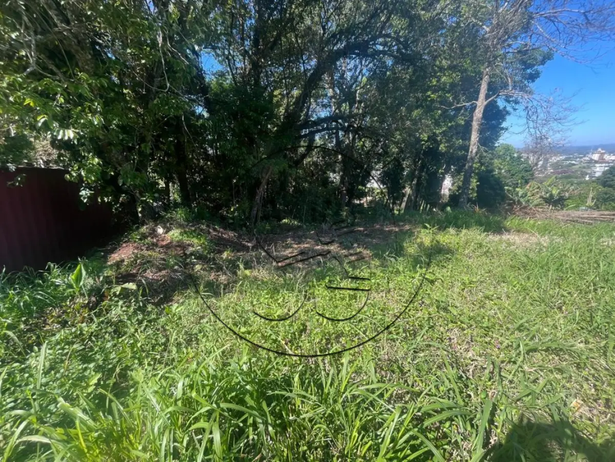 Terreno (foto 3 de 9)