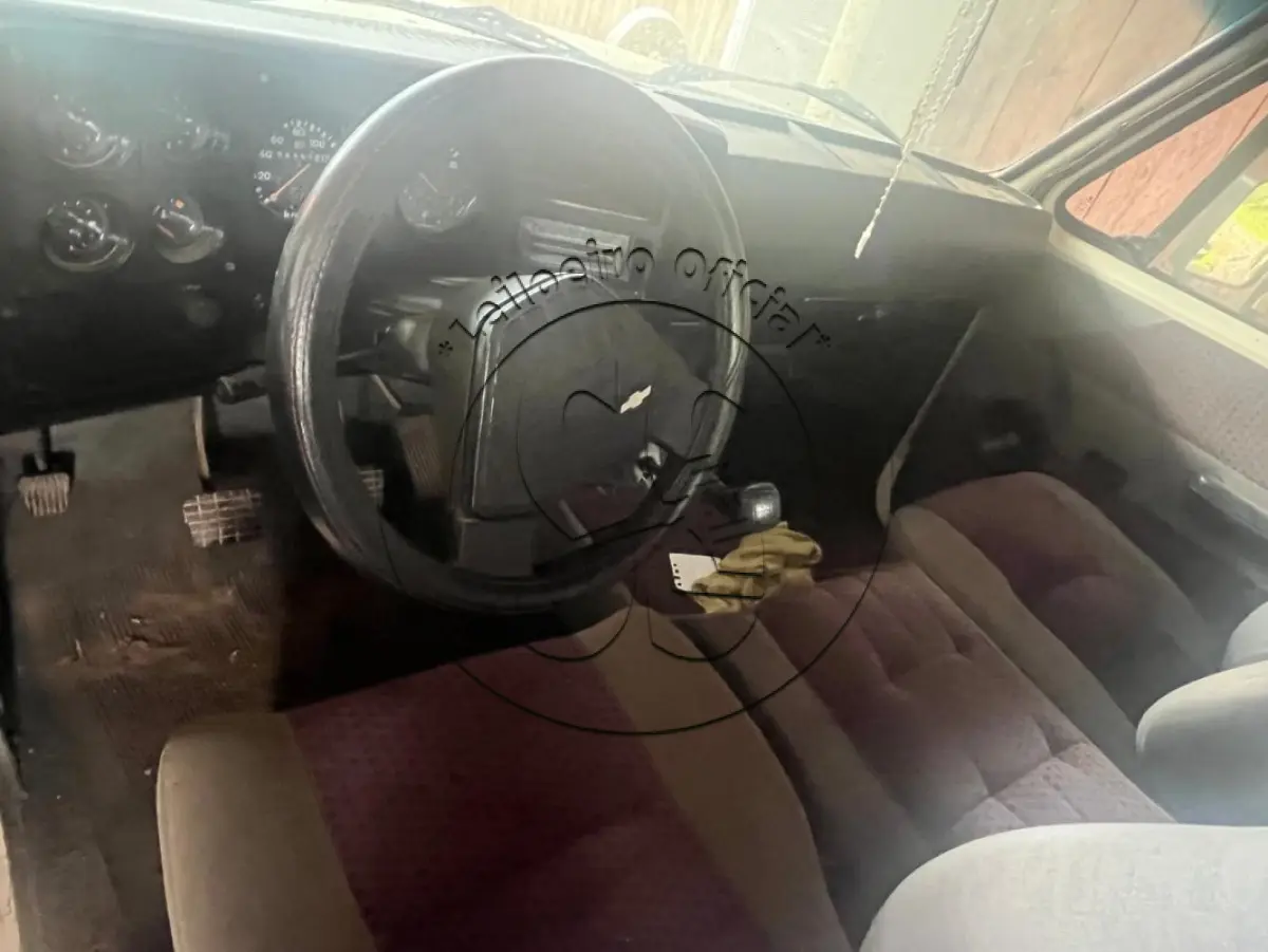 LOTE 037 - Caminhonete GM/CHEVROLET D20 CUSTOM, ano/modelo: 1991/1991, placa: IIT0A96