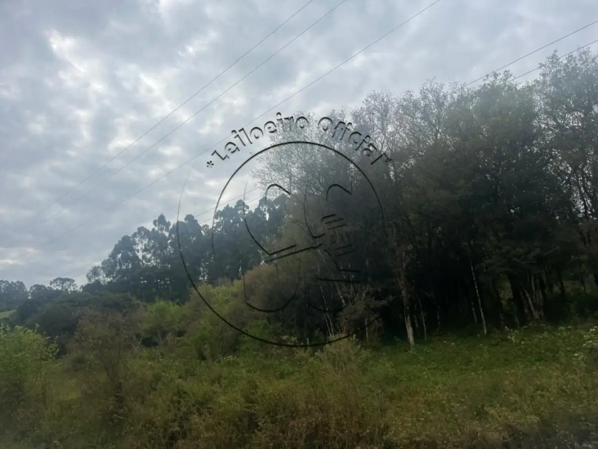 A NUA PROPRIEDADE DE UMA FRAÇÃO DE TERRAS COM 55.000,M², EM CONDOMÍNIO, LOT...