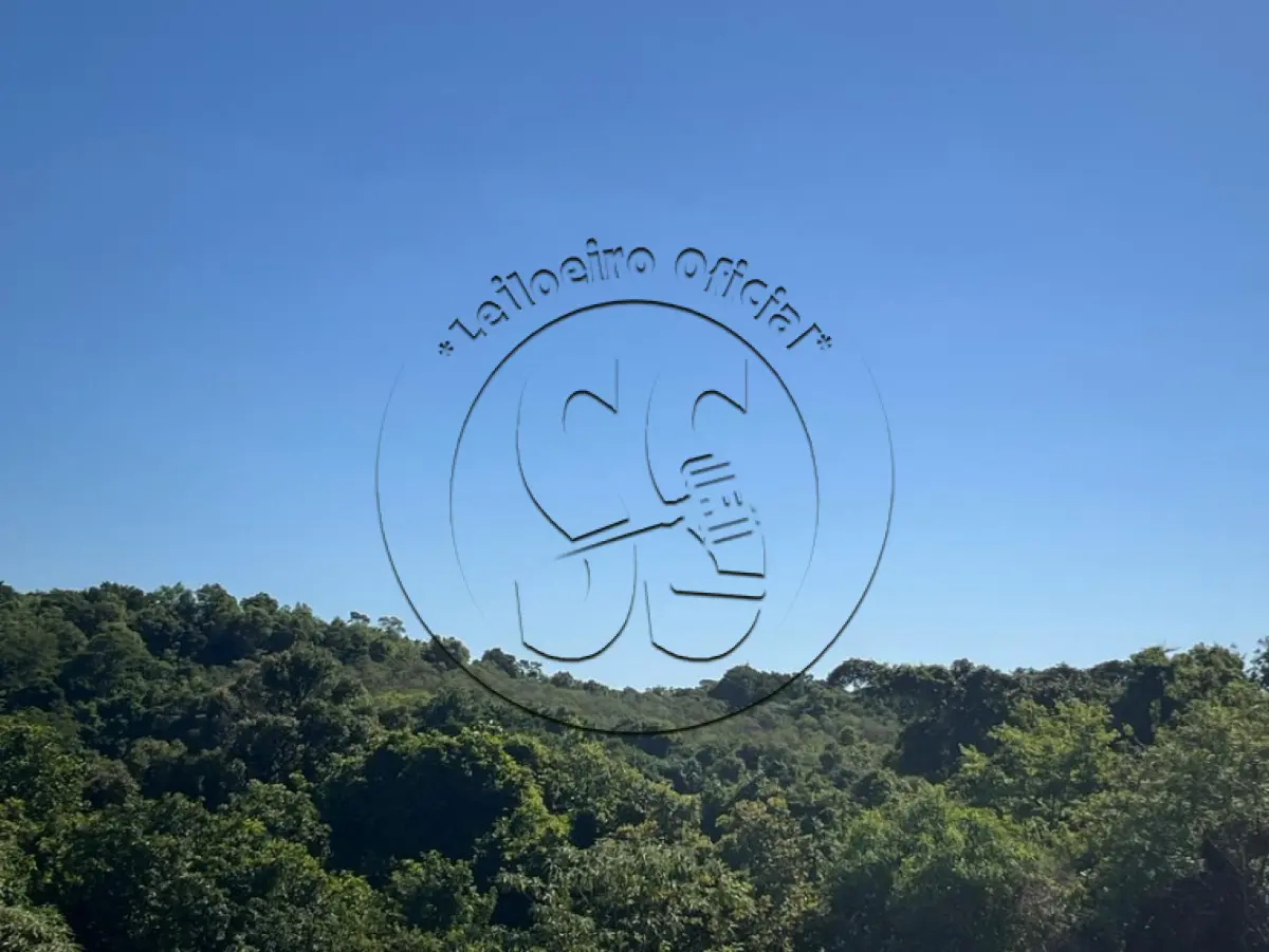 LOTE 019 - Uma fração ideal de terras, em LINHA NOVE COLÔNIAS e TRAVESSÃO DONA JOSEFA, distrito de Rio Pardinho