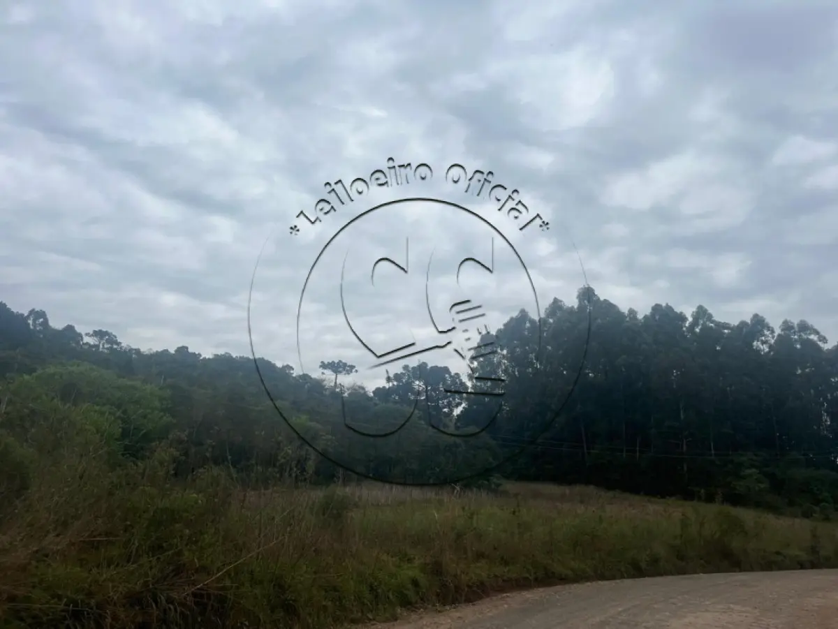 LOTE 016 - A nua propriedade de uma fração de terras com 55.000,m², em condomínio, lote nº 02, da linha Oito, no Município de Ibarama/RS
