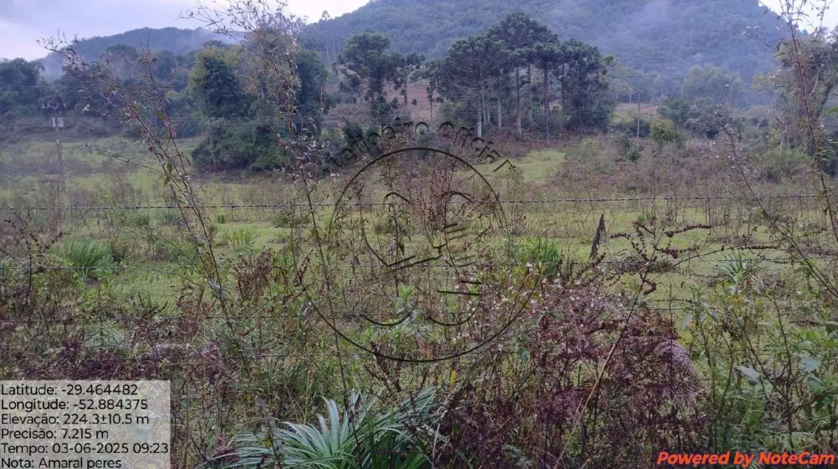 Gleba no Baixo Passa Sete (foto 3 de 5)