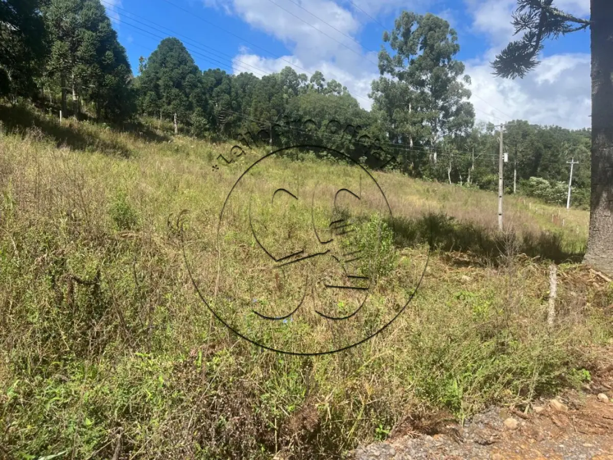 Gleba no Linha Quinca (foto 6 de 10)