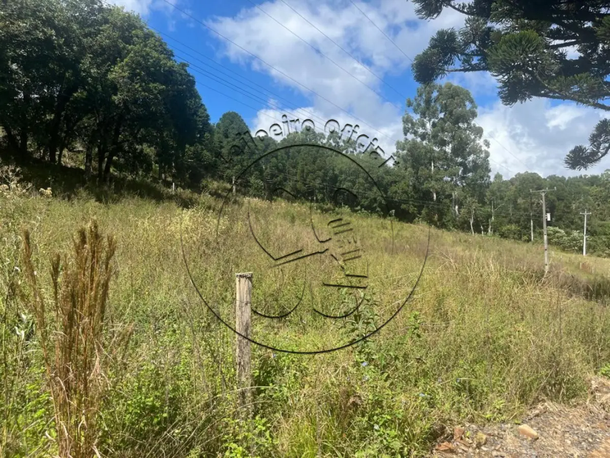 Gleba no Linha Quinca (foto 5 de 10)