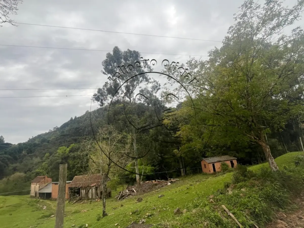 LOTE 015 - Fração de terras com 30.000,00m², em condomínio, e 1/3 das benfeitorias, em Linha dos Alemães, distrito de Ibarama, Sobradinho/RS