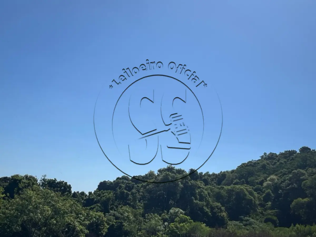 LOTE 019 - Uma fração ideal de terras, em LINHA NOVE COLÔNIAS e TRAVESSÃO DONA JOSEFA, distrito de Rio Pardinho
