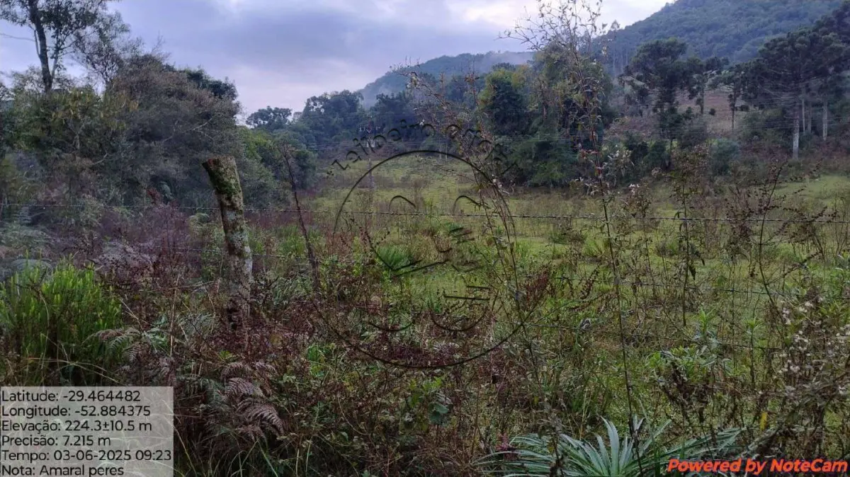 Gleba no Baixo Passa Sete (foto 4 de 5)