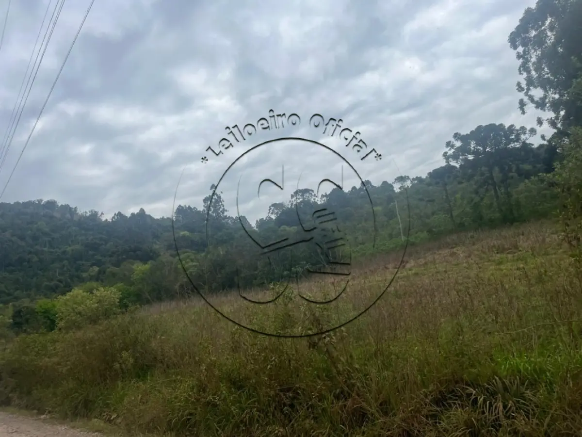LOTE 016 - A nua propriedade de uma fração de terras com 55.000,m², em condomínio, lote nº 02, da linha Oito, no Município de Ibarama/RS