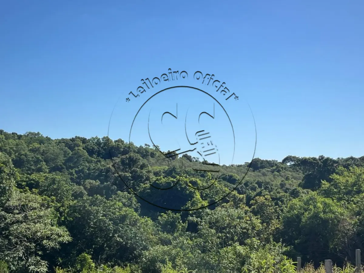 LOTE 019 - Uma fração ideal de terras, em LINHA NOVE COLÔNIAS e TRAVESSÃO DONA JOSEFA, distrito de Rio Pardinho