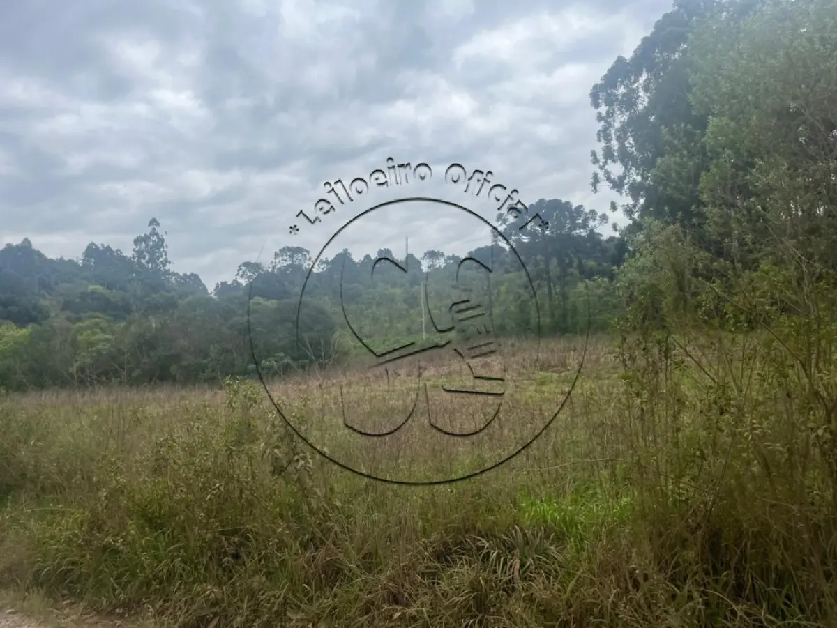 LOTE 016 - A nua propriedade de uma fração de terras com 55.000,m², em condomínio, lote nº 02, da linha Oito, no Município de Ibarama/RS