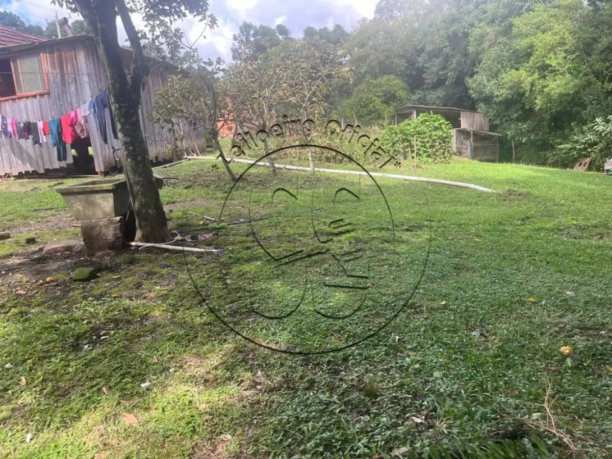 Gleba no Linha Quinca (foto 2 de 10)