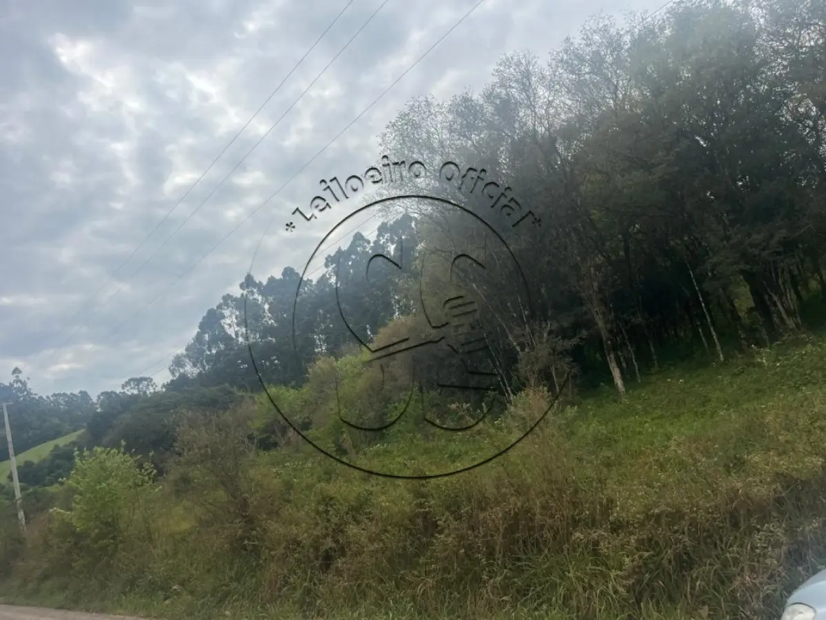 LOTE 016 - A nua propriedade de uma fração de terras com 55.000,m², em condomínio, lote nº 02, da linha Oito, no Município de Ibarama/RS