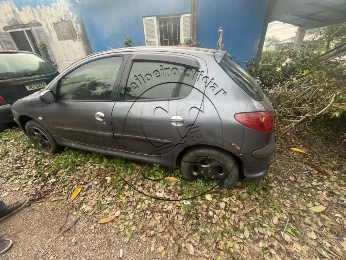 LOTE 047 - PEUGEOT/206 14 PRESENC, ano/modelo: 2004/2004, placa: DMG1I87