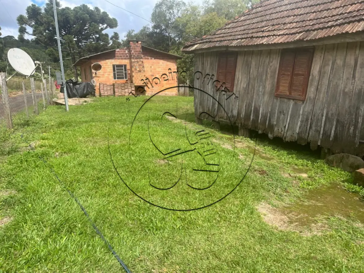 Gleba no Linha Quinca (foto 4 de 10)