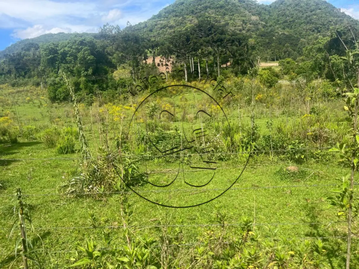 LOTE 002 - Fração de terras rurais de agricultura, município de Passa Sete/RS, com a área de 117.033,66m²