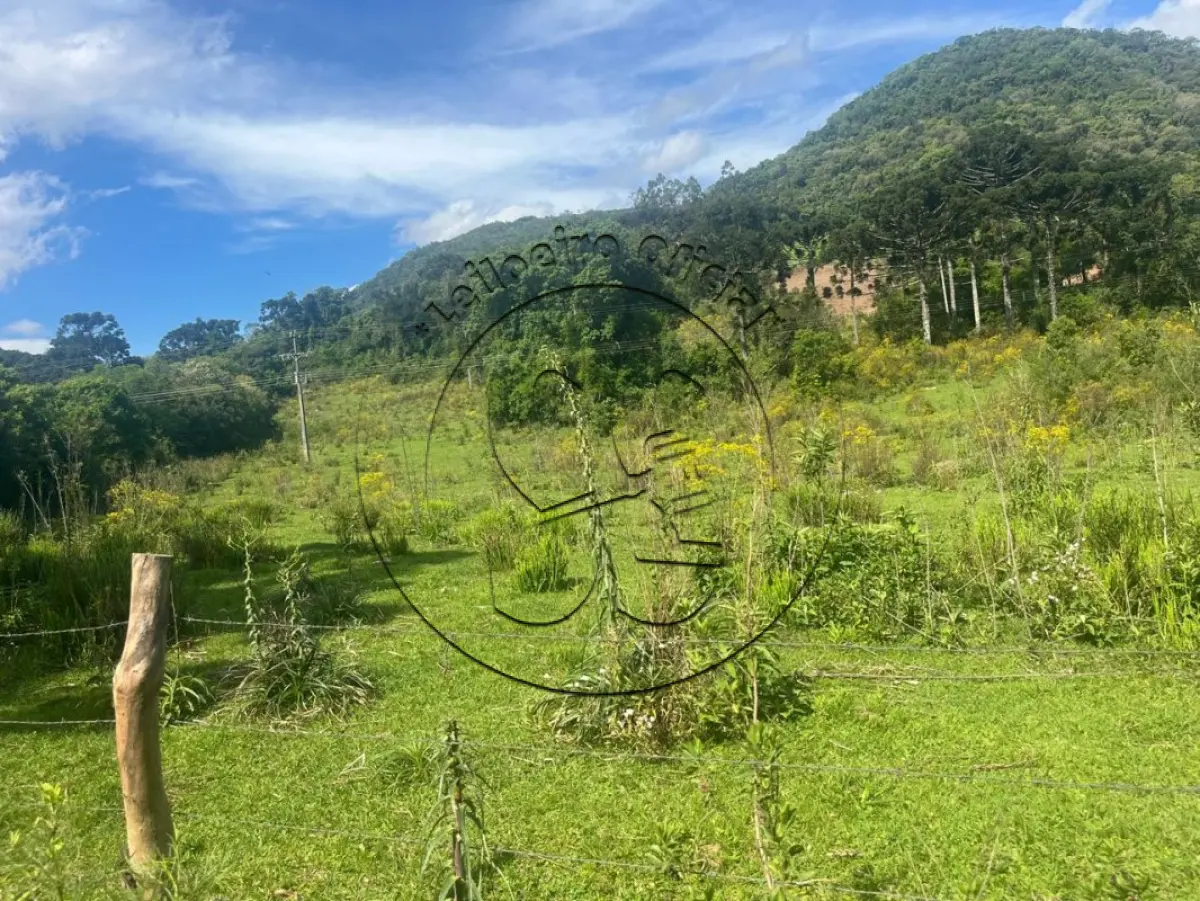LOTE 002 - Fração de terras rurais de agricultura, município de Passa Sete/RS, com a área de 117.033,66m²
