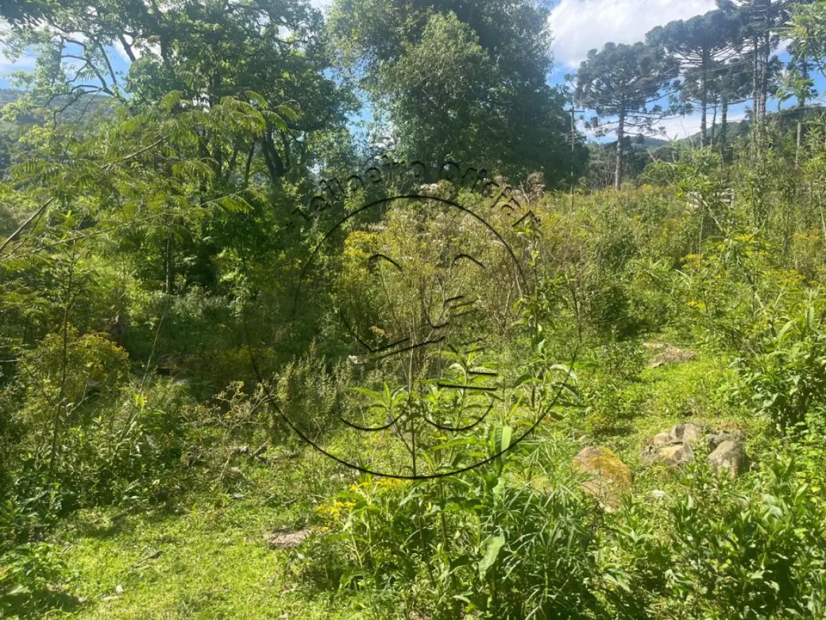 LOTE 002 - Fração de terras rurais de agricultura, município de Passa Sete/RS, com a área de 117.033,66m²