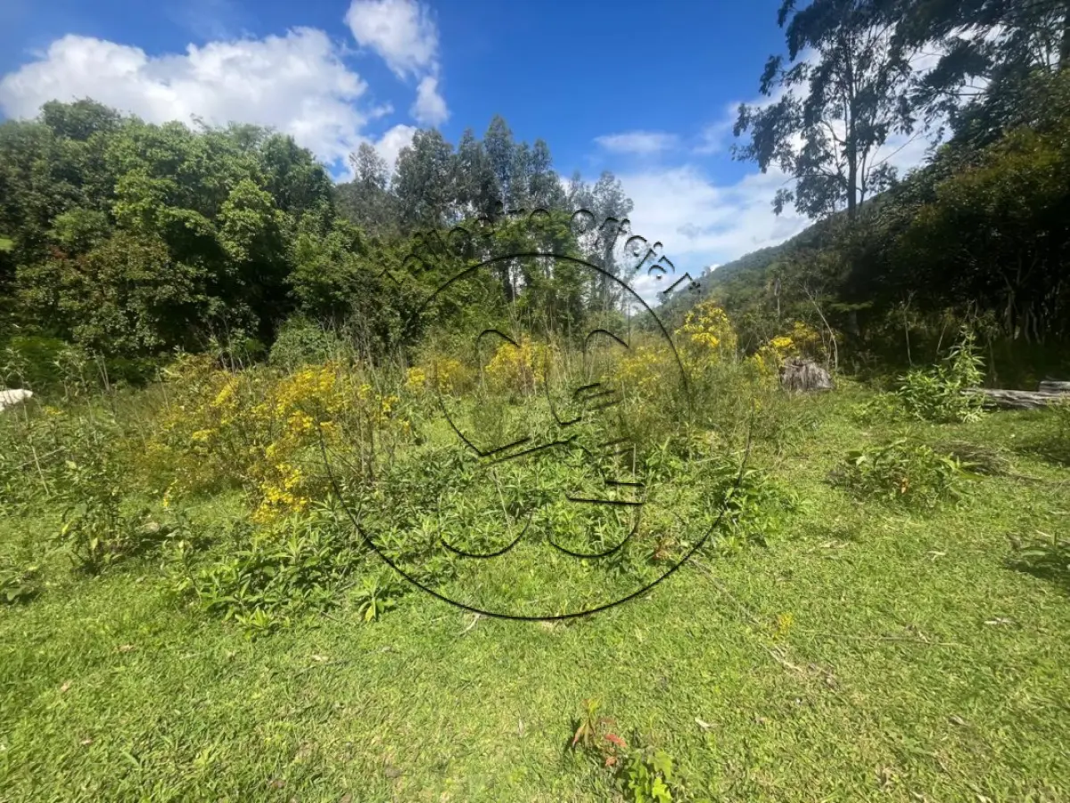 LOTE 002 - Fração de terras rurais de agricultura, município de Passa Sete/RS, com a área de 117.033,66m²