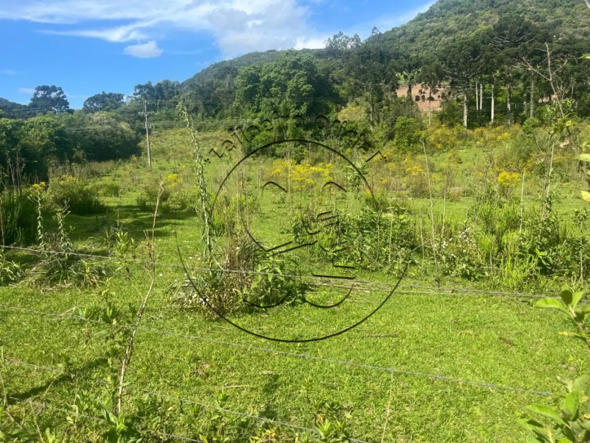 LOTE 002 - Fração de terras rurais de agricultura, município de Passa Sete/RS, com a área de 117.033,66m²